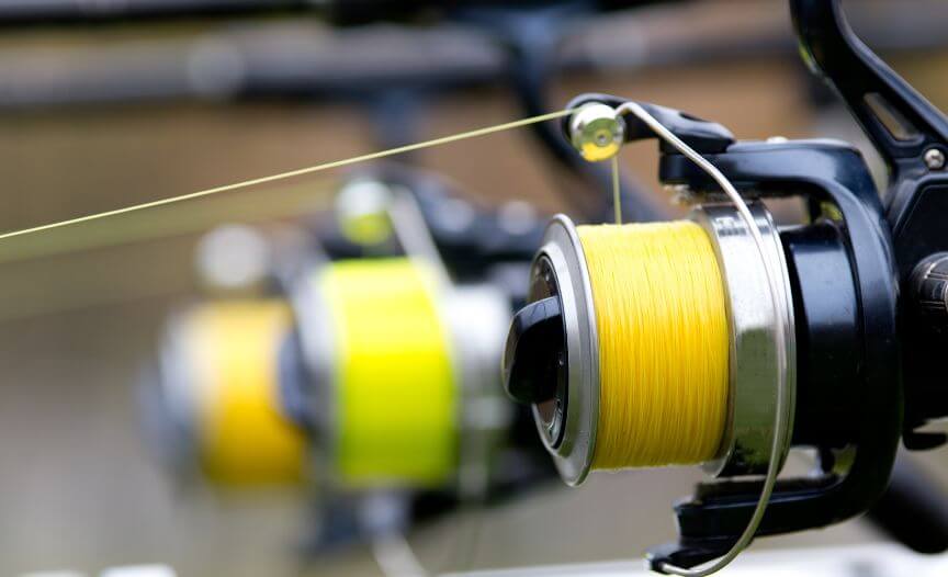Fishing Line on a Reel